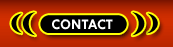 Transsexuals Phone Sex Contact Memphis